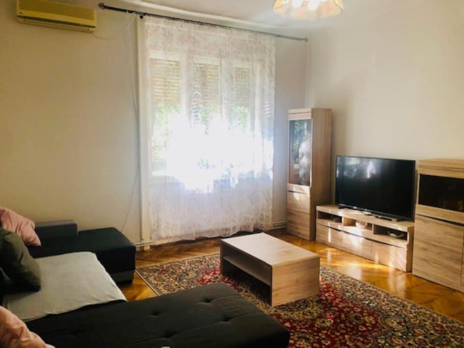 Joy Colonel Enescu 3 * טימישוארה